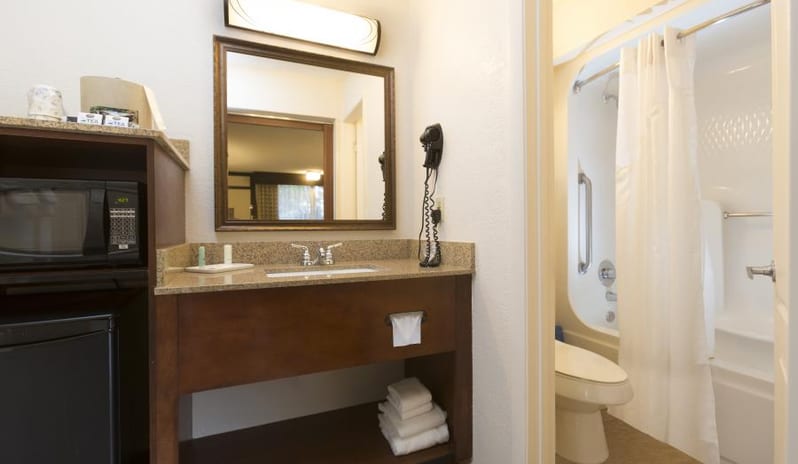 Rosen Inn Lake Buena Vista - Standard Room Washroom